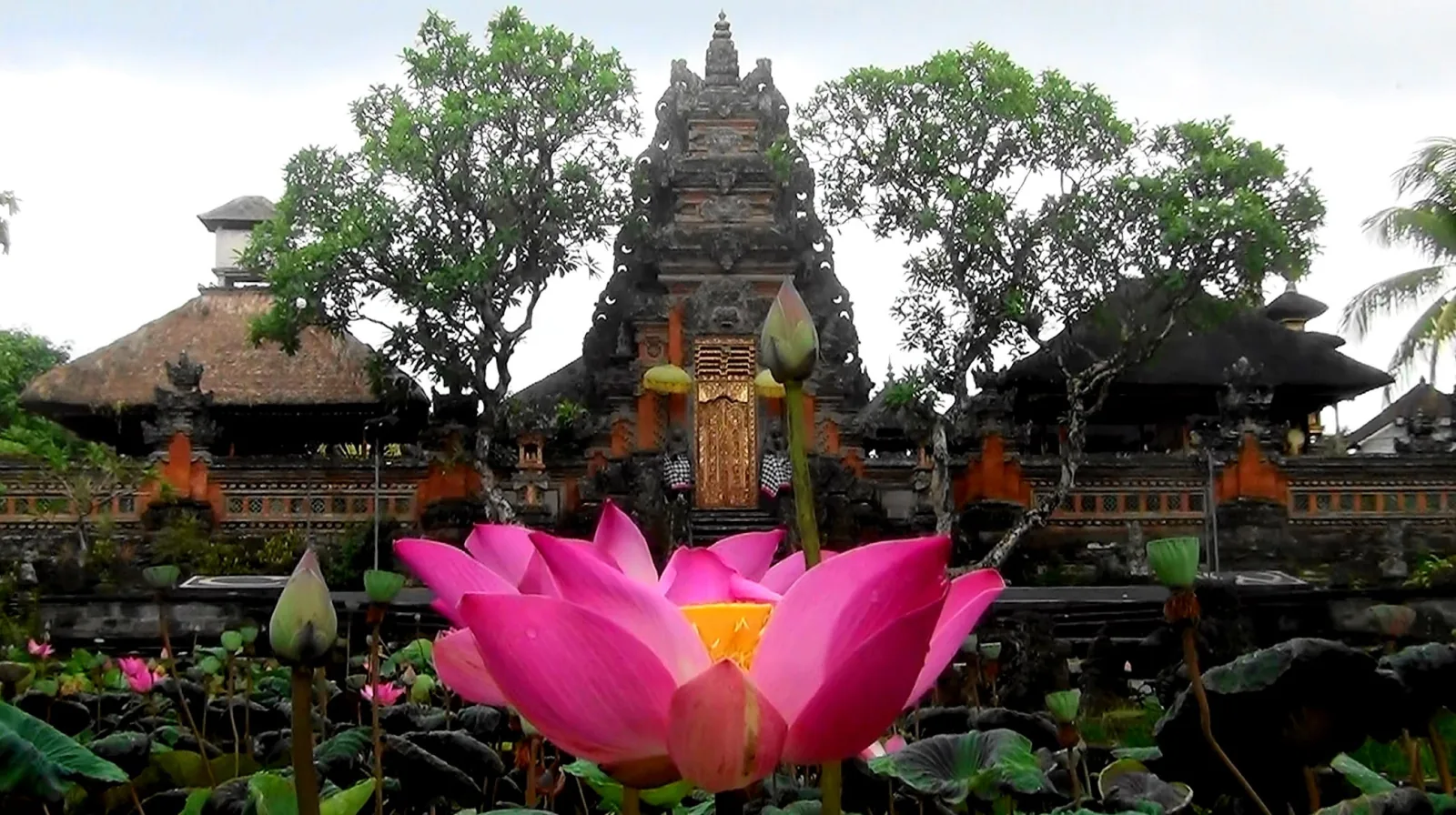 Pura Saraswati.