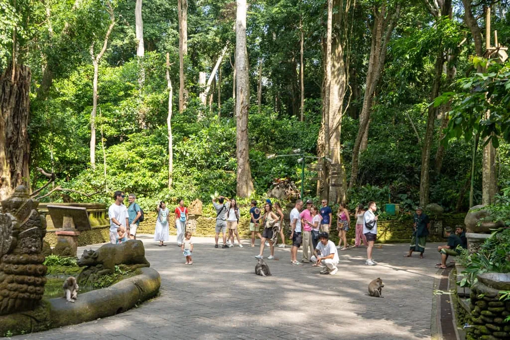 Monkey Forest Ubud.